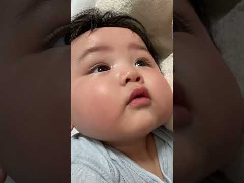 ばあばにあおいでもらって王様みたいな赤ちゃん👶🏻/Treating My Baby Like A KING #Shorts