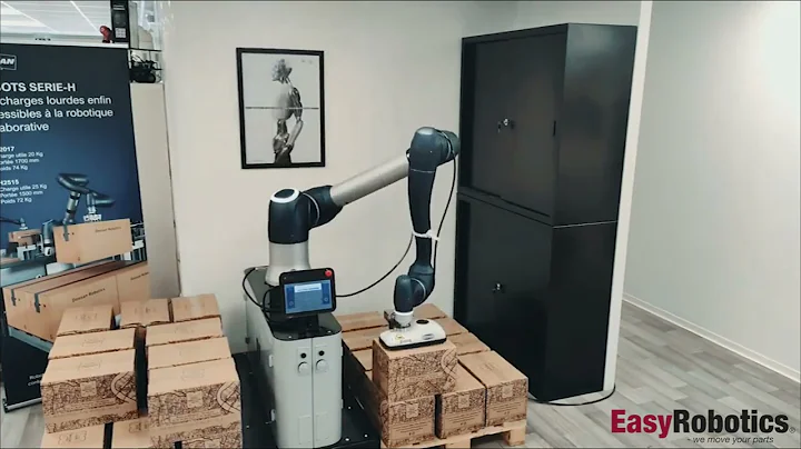 🎯Robotic palletizer and depalletizer work demonstration by Huma Robotics