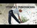 Уттхита Триконасана - техника выполнения