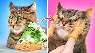 No More Poo Diy Doggy Diaper From Socks