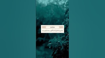 سورة آل عمران • SURAH ALI-IMRAN • أكتب شئ تؤجر عليه