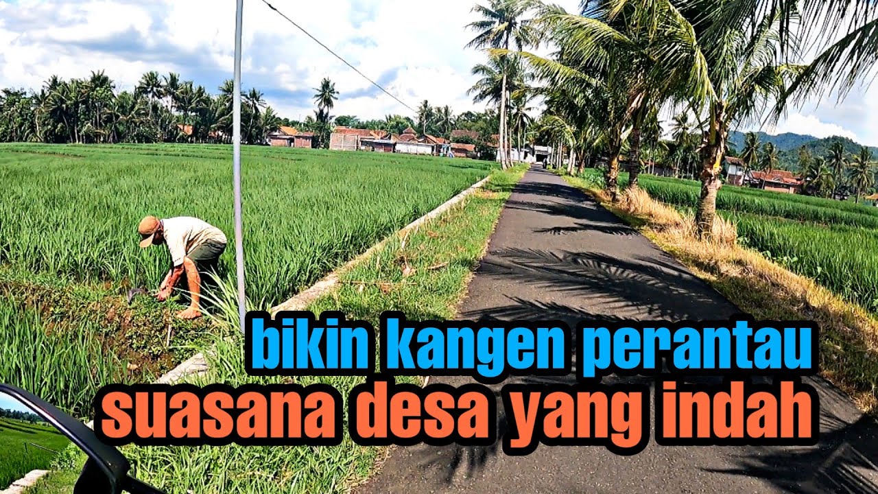 Bikin Kangen, Pedesaan Indah Di Susukan Banjarnegara, Suasana Pedesaan Jawa Tengah || #DolanNgeVlog