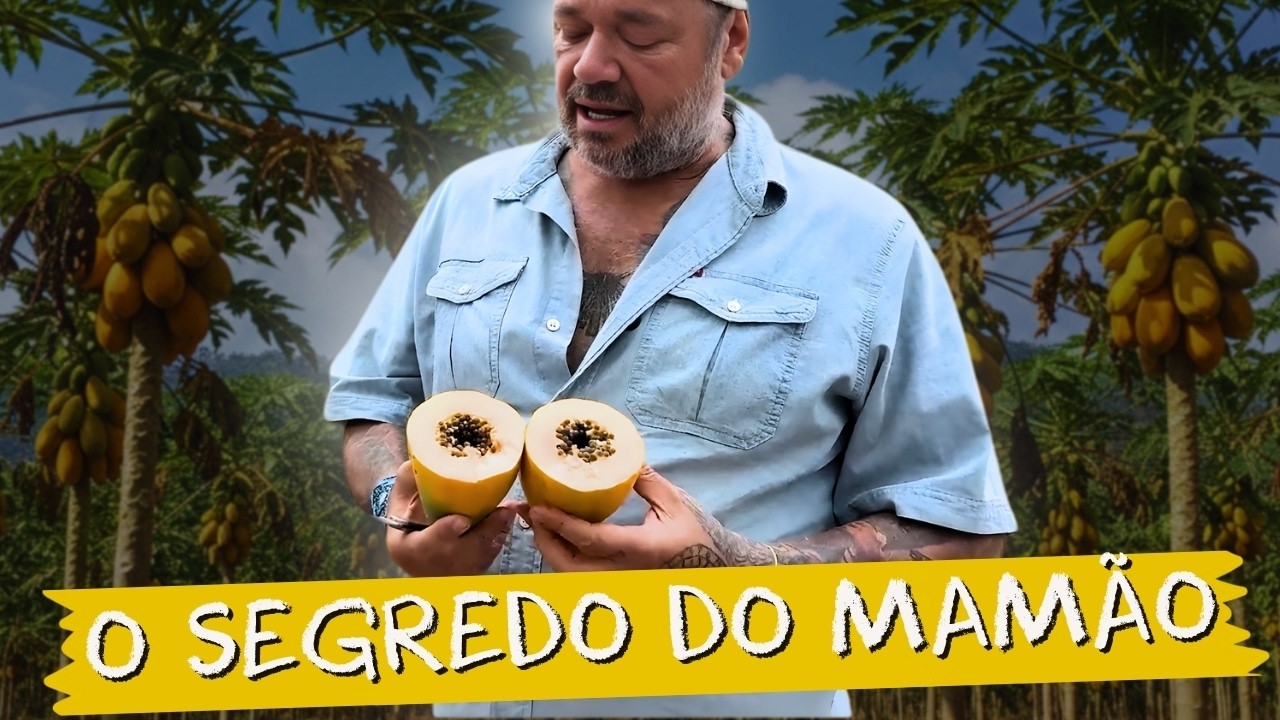 VOCÊ NÃO FAZ IDEIA DO TRABALHO PRA PRODUZIR ESSE MAMÃO 🍈😳