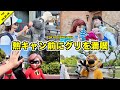 【Vlog】レミーとリベンジグリ!熱キャンの時期が来る前にディズニーシーを満喫しよう!グリーティングやバンドなど【混雑状況】