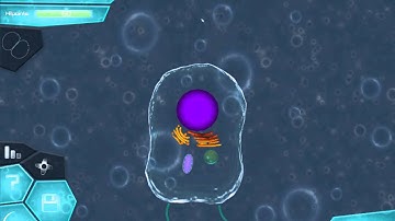 Thrive Dynamic Membrane - Test 2