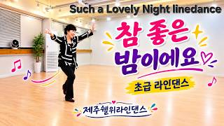💃참 좋은 밤이에요/Such a Lovely Night linedance/초급/제주쉘위라인댄스 #제주라인댄스 #high beginner  