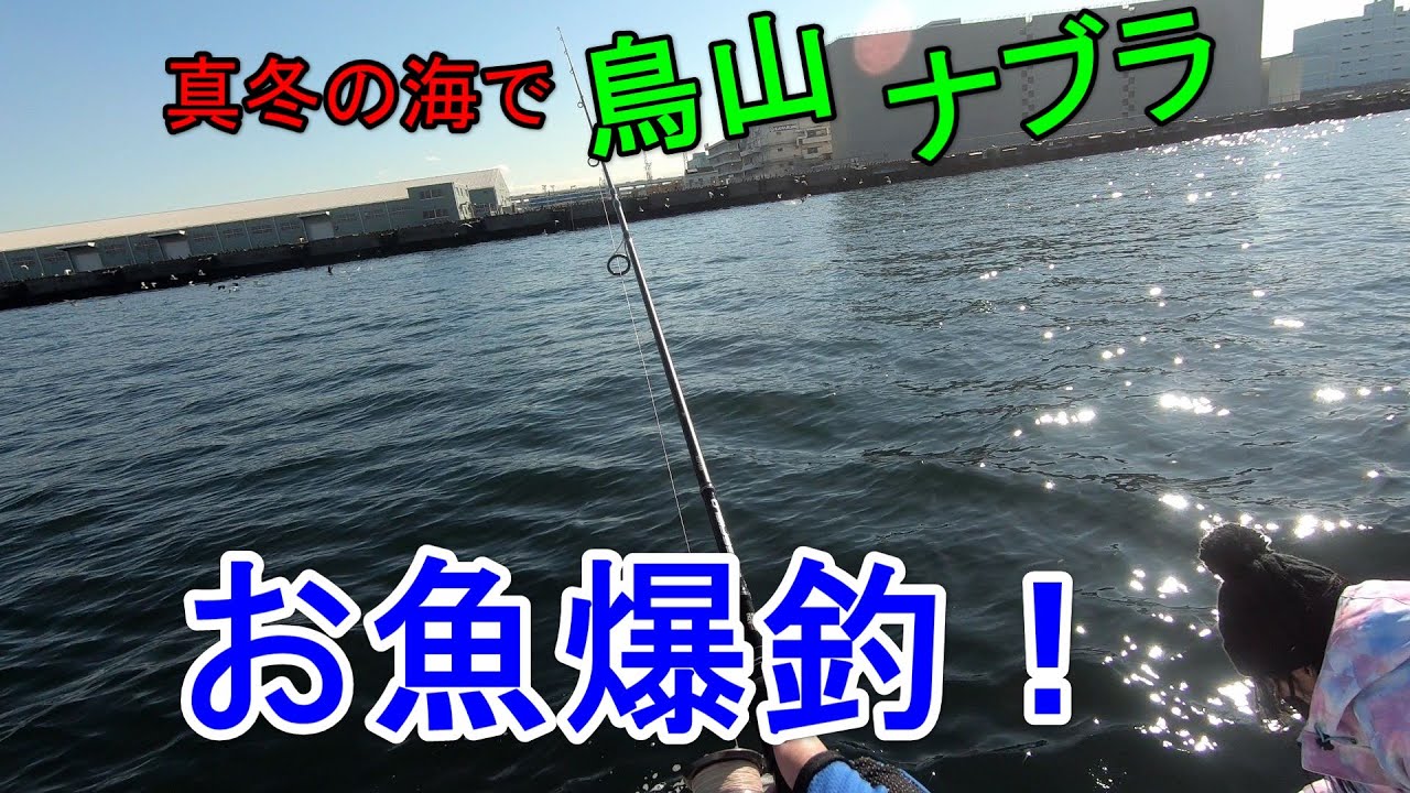 東京湾 ナブラ 釣り 真冬に鳥山 ナブラ出現でお魚爆釣 Youtube