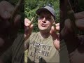 Kentucky Ballistics: Shooting Bullets Backwards!!! #experiment