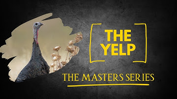 Turkey Calls And Turkey Calling: Master The Yelp. How To Use Mouth Calls.