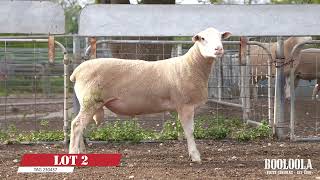 Lot 2