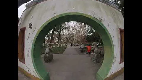 #shorts #OneTakeTour Virtual tour of a peaceful garden in Haining, China