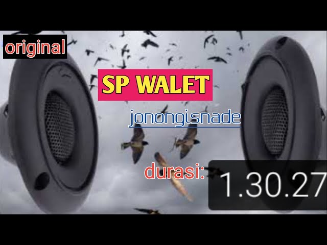 suara panggil burug walet|| sp walet original by jonongisnade class=