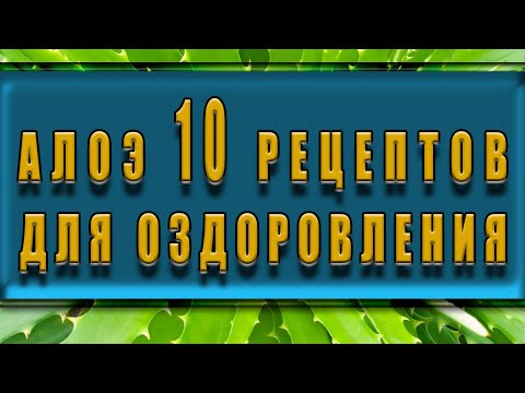 Алоэ 10 рецептов для оздоровления