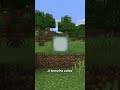 Coisas que você NUNCA percebeu no Minecraft... #Shorts