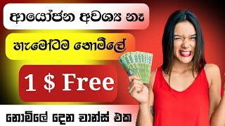 Free 1$ - e money sinhala 2025 - earn money online | How to earning money for  sinhala
