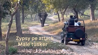 Male Tusker roka rasta# Ranipur range haridwar#elephant #viralvideo