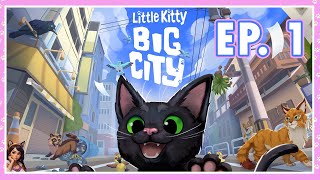 Little Kitty, Big City | Ep. 1 | Curious Little Kitten