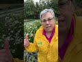 From my wet garden! FREE SHIPPING WEEKEND in APP ONLY Comment APP to get inside