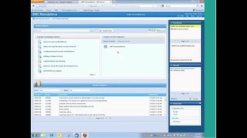 Implementing a Cloud-based ITIL Help Desk with BMC Remedyforce, PART 2