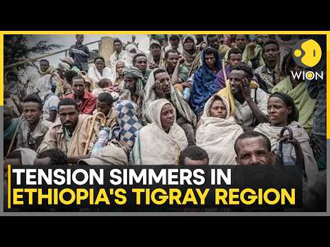 Egypt Holds Mini-Summit On Ethiopia Crisis: Leaders Of Ethiopia's Regional Rivals Hold Meeting |WION