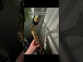 Rate the acoustics (I was harsh tbh they’re actually decent👀) #saxophone #saxplayer #acoustics #sax