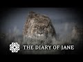 (800+ Subs Special) [MEP] Multifandom - The Diary of Jane [Breaking Benjamin]