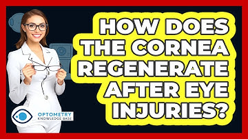 How Does The Cornea Regenerate After Eye Injuries? - Optometry Knowledge Base