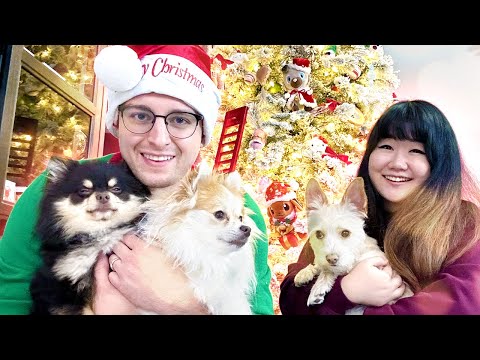 Another Dog?! 2022 Lastic and Ry Christmas Decorating Vlog!