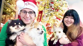 Another Dog?! 2022 Lastic and Ry Christmas Decorating Vlog!