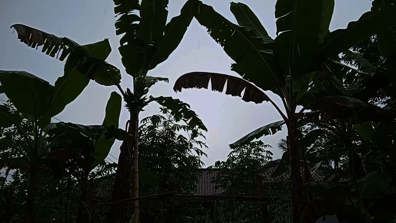 TERJADI DAN TERJADI LAGI BADAI ANGIN DASYAT 😱😱⛈️