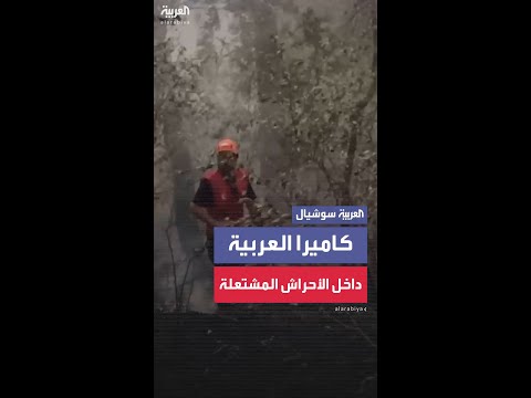 مراسل العربية محمد هارون من داخل الأحراش التي أكلتها النيران في اللاذقية