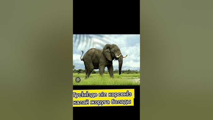 Принглес банкаларын жұлып алу үшін