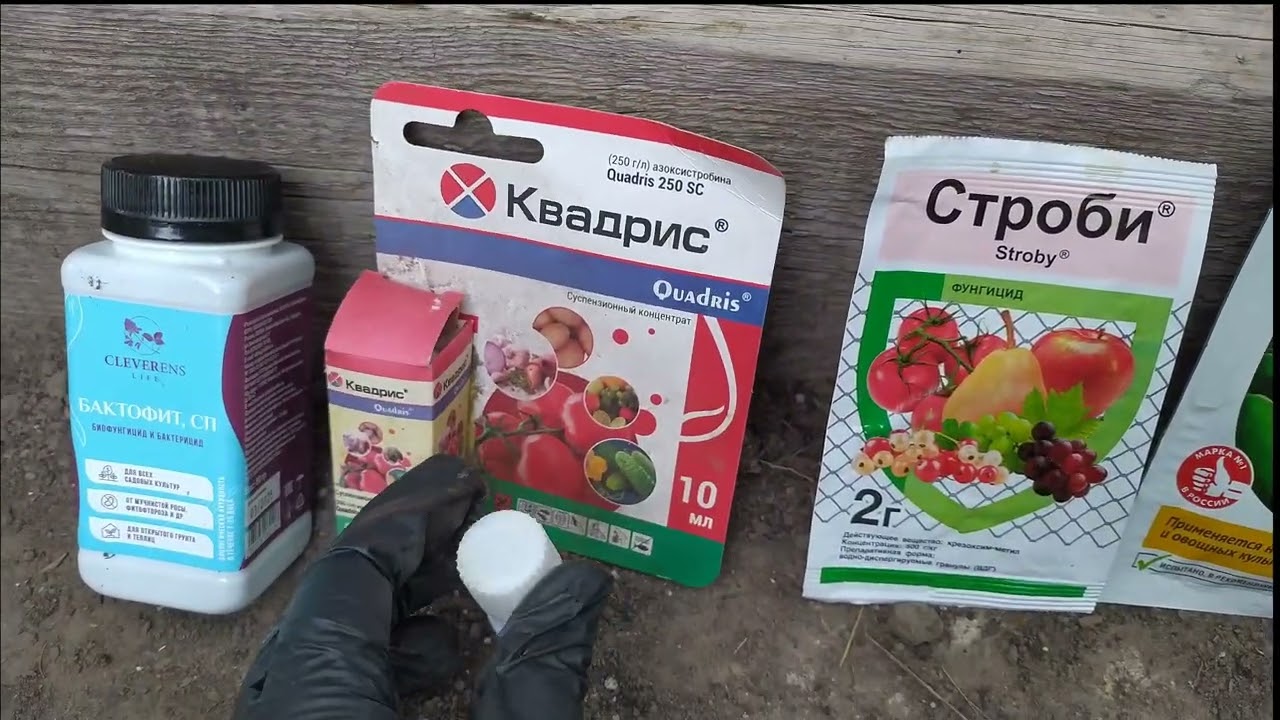 ТОМАТЫ.ПРОФИЛАКТИКА от БОЛЕЗНЕЙ. Квадрис.Лучше предупредить, чем лечить!