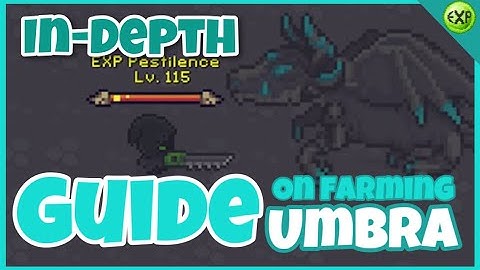An In-Depth Guide on Farming Umbra - Curse of Aros (feat. EXP Pestilence)