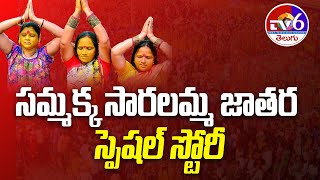 Tv6 Special Story on Sammakka Saralamma Jatara || Tv6 Telugu