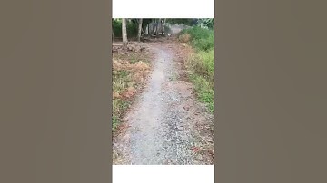 chủ cần bán lô đất giá đầu tư tốt. huyện Tân Trụ Tỉnh Long An cách HcM khoan 45km