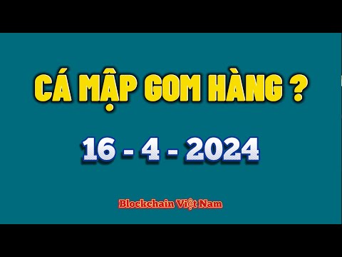 Phân Tích Bitcoin Ngày 16-4-2024 – CÁ MẬP GOM HÀNG ? – Blockchain Việt Nam