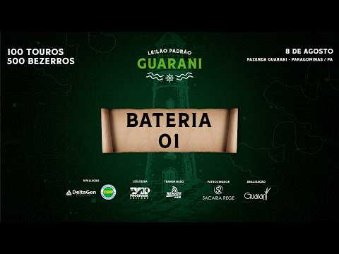BATERIA 01