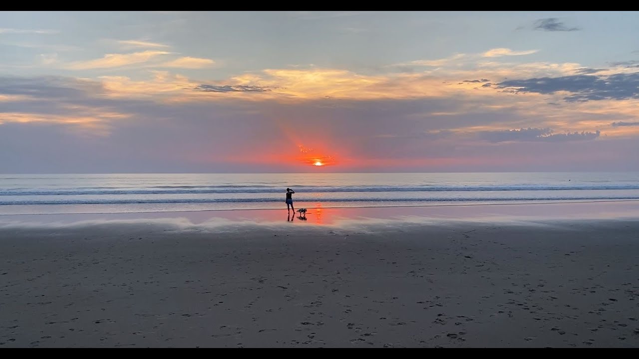 hundestrand - besonderes für vier Pfoten, Frankreich September 2023, Teil 2, Montalivet Bordeaux