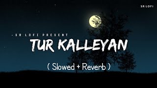 Tur Kalleyan - Lofi (Slowed + Reverb) | Arijit Singh, Shadab Faridi, Altamash Faridi | SR Lofi