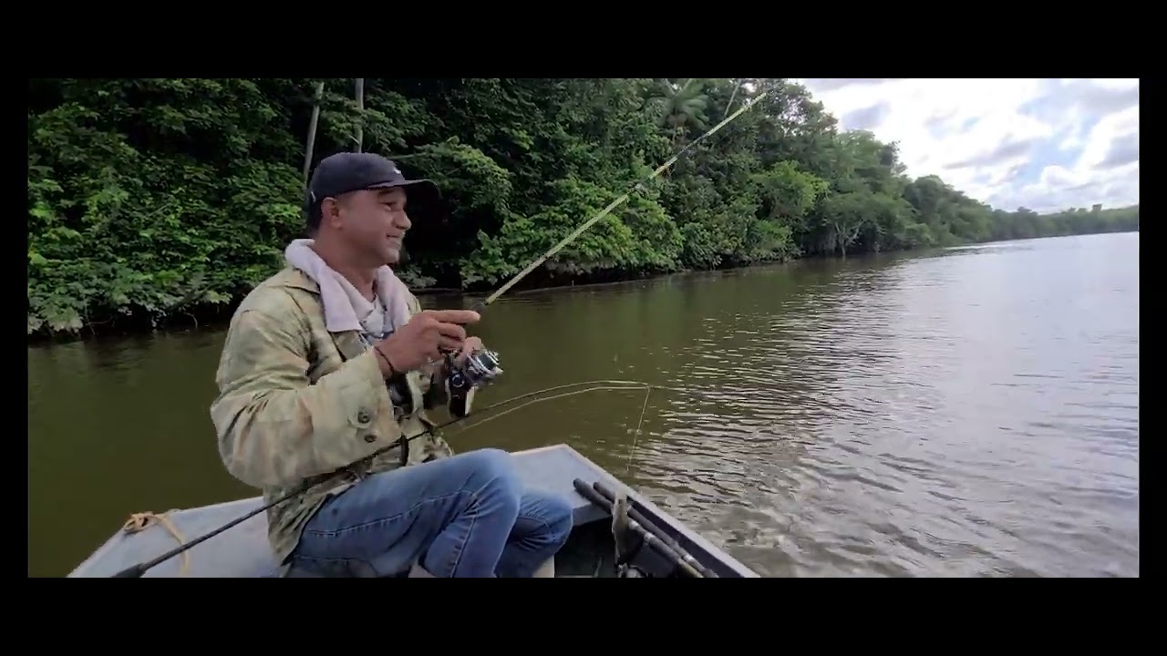 LAARWIJK ( SURINAM RIVER ) KOEBI HUNTING