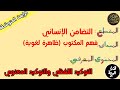 دروس الرابعة المتوس طة التوكيد الل فظي والتوكيد المعنوي محمد أبوشاكر لعبودي 