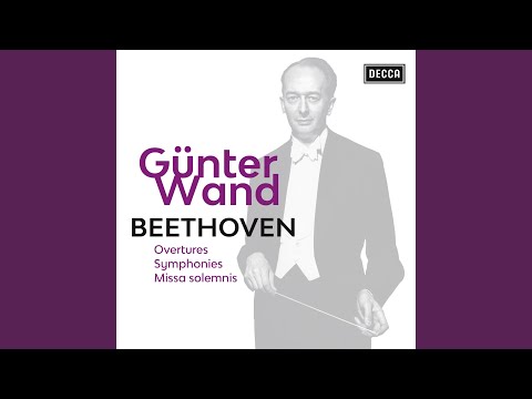 Beethoven: Symphony No. 4 in B-Flat Major, Op. 60: II. Adagio bekijken op YouTube