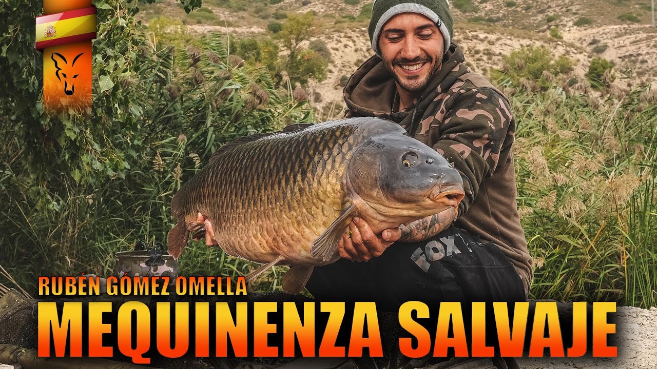 MEQUINENZA SALVAJE  ***FOX CARPFISHING TV****