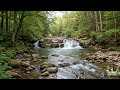 Magical Rainforest Waterfall Crystal Clear Waters and Lush Green Forest
