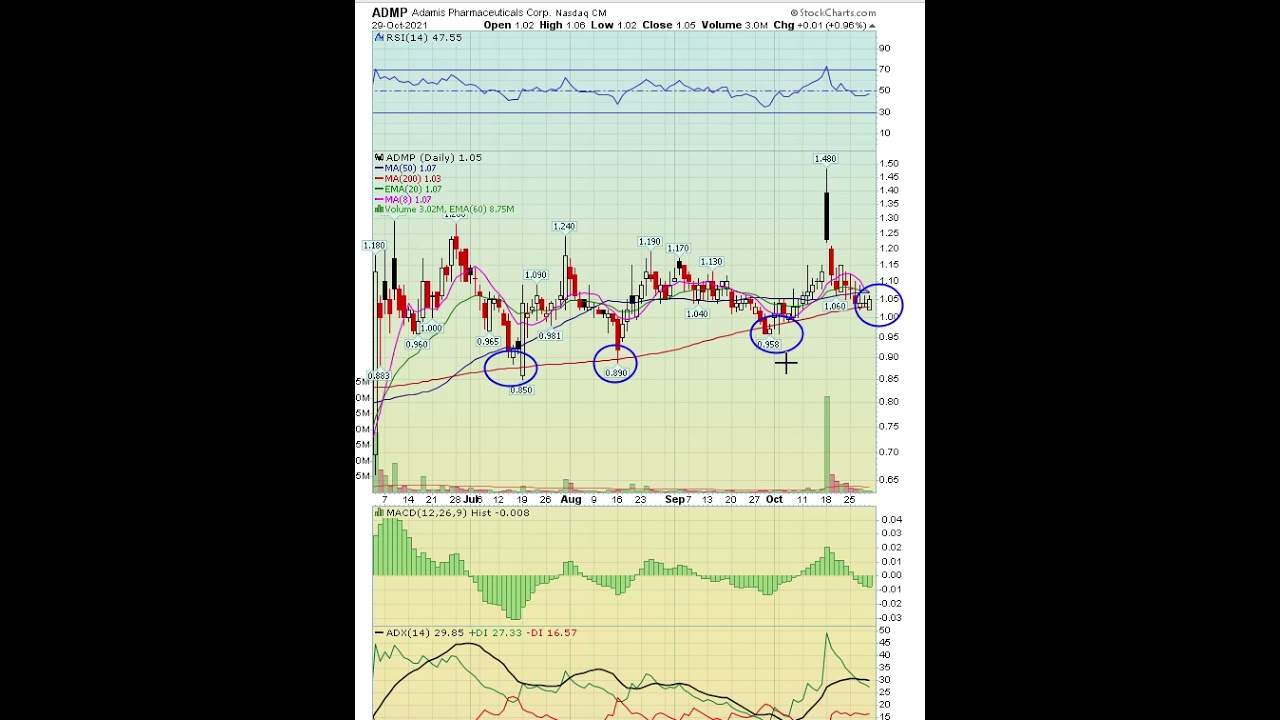 admp stock Update New Stock Market Weekend Update | 10-31-21