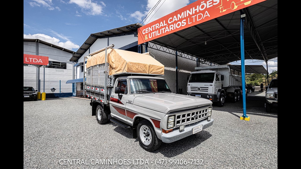FORD F-1000 ANO 1981 COM BOIADEIRA E ACESSÓRIOS: