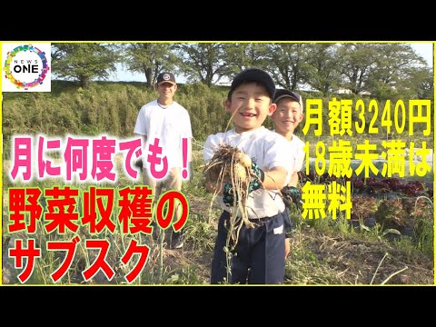 家族で収穫しとれたて味わえる…『野菜収穫のサブスク』愛知に登場 大人1人ひと月3240円 18歳未満無料