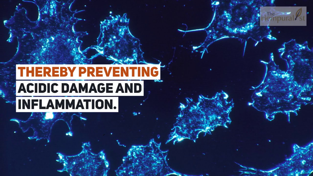 CBD for IBS: Cannabinoids May Relieve Irritable Bowel Syndrome