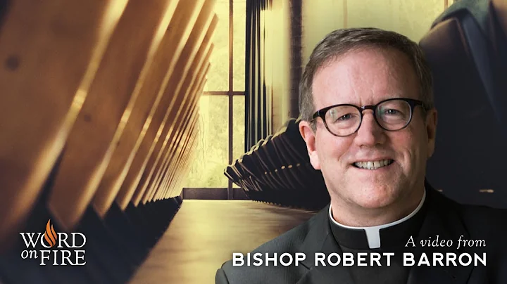 Bishop Barron on College Campus “Safe Spaces” - DayDayNews